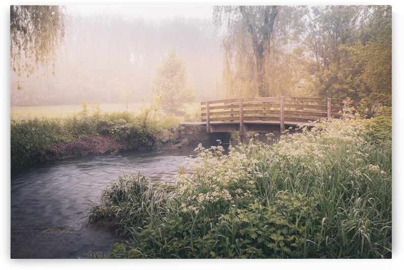 Cedar Creek Park   Misty Morning by Jason Fink