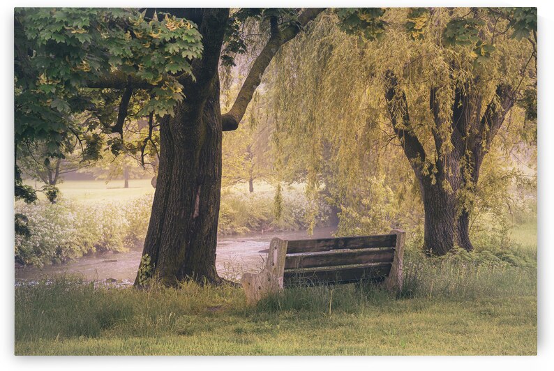 Serene Seating by Jason Fink