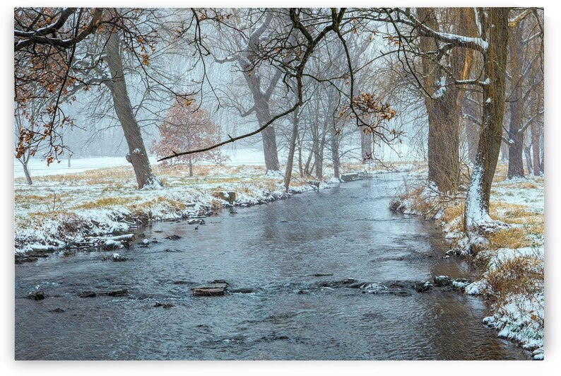 Cedar Creek Snowing by Jason Fink
