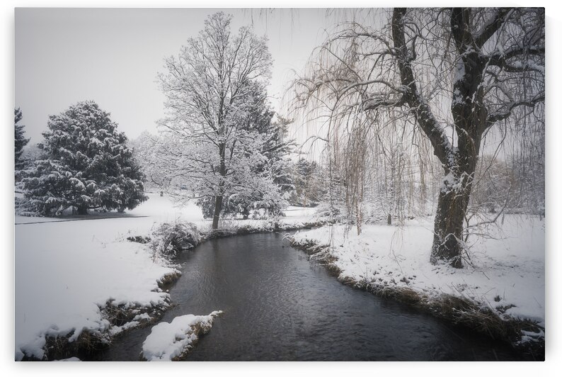 Winter on Cedar Creek by Jason Fink