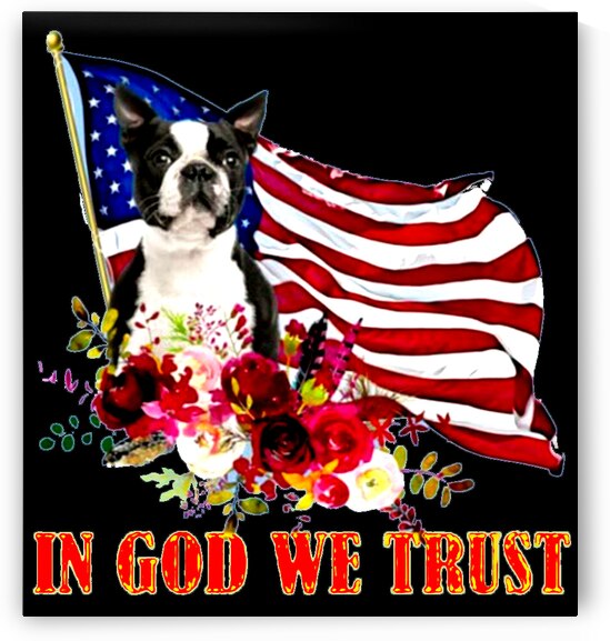 American Boston Terrier  by Rikki Rocx Designs