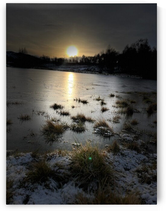 Winters Sun Light Kiss for the Scottish Highlands by Catriona Roberts Nature Photography and Designs