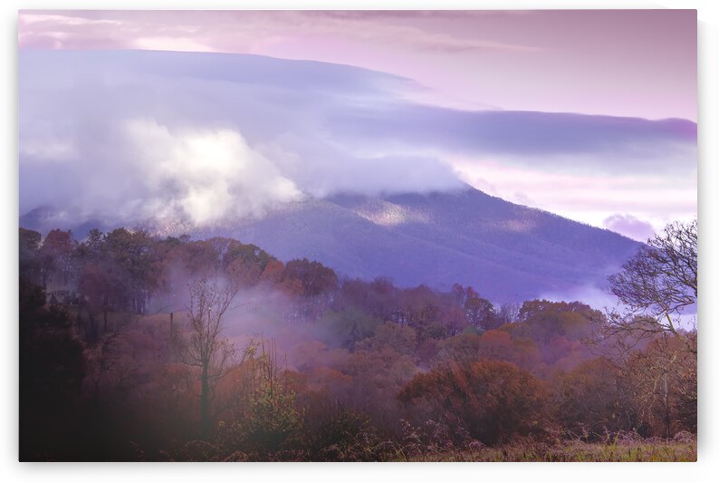 A Blue Ridge Mountains Foggy Morning by Norma Brandsberg Photography