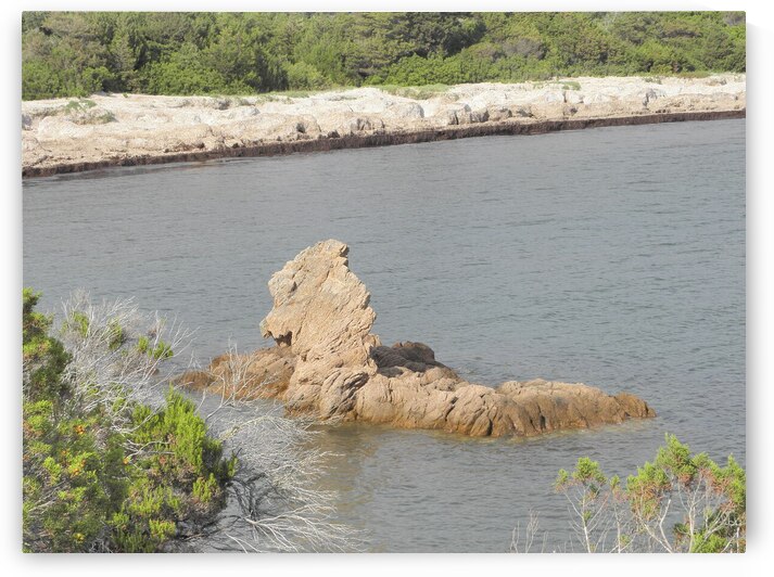 sea ​​monster by Carinou Art