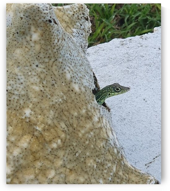 who asks me by Carinou Art