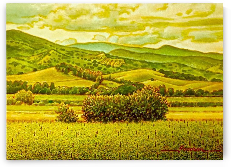 461848835 8359104710841656 8531777428381371662 n. by M Richard Goodwin