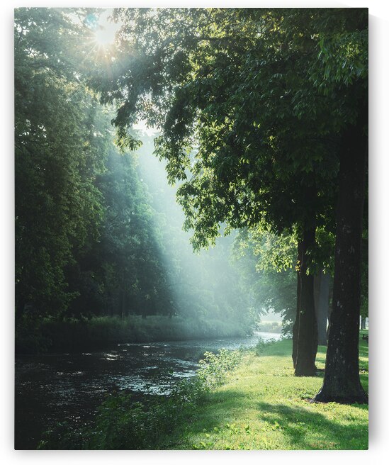 Summer Sunlight on Jordan Creek by Jason Fink