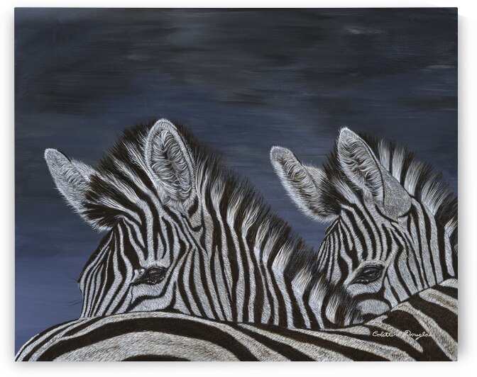 Perfect Cover by Colette Douglas