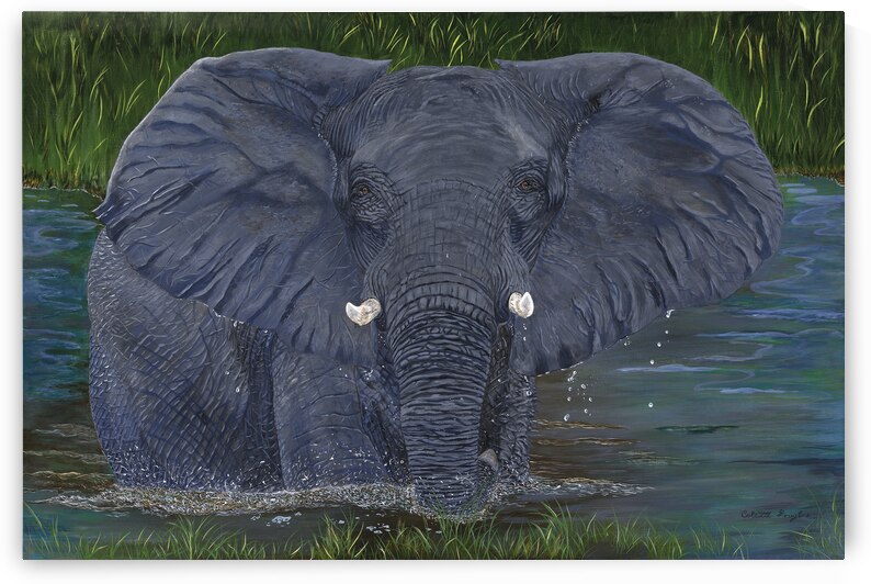 Cool Down by Colette Douglas