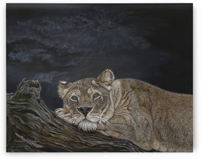 Alone by Colette Douglas