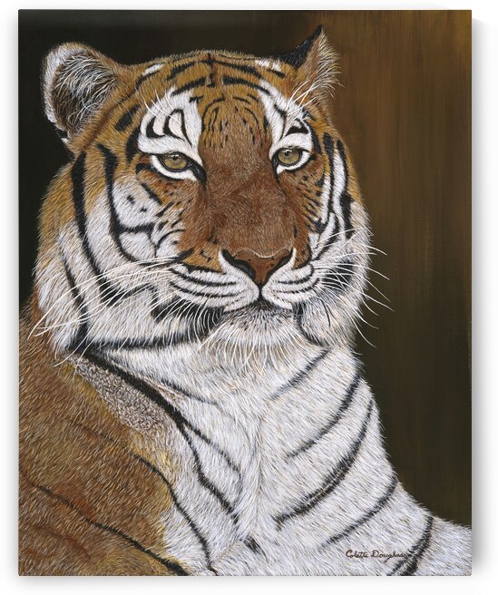 Beat the Heat by Colette Douglas