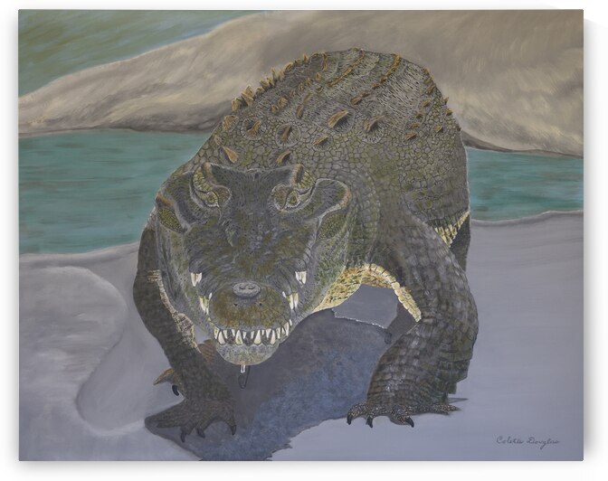 Walk with Crocs by Colette Douglas