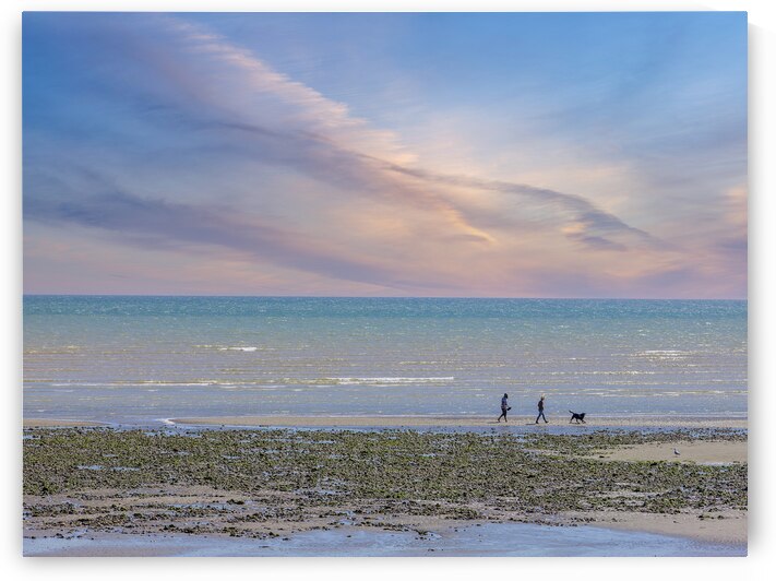 Dog Walking at Seaside by Assaf Frank