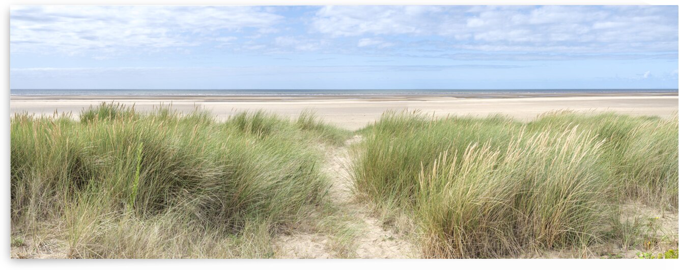 Grassy Dunes and Coastal Peace by Assaf Frank