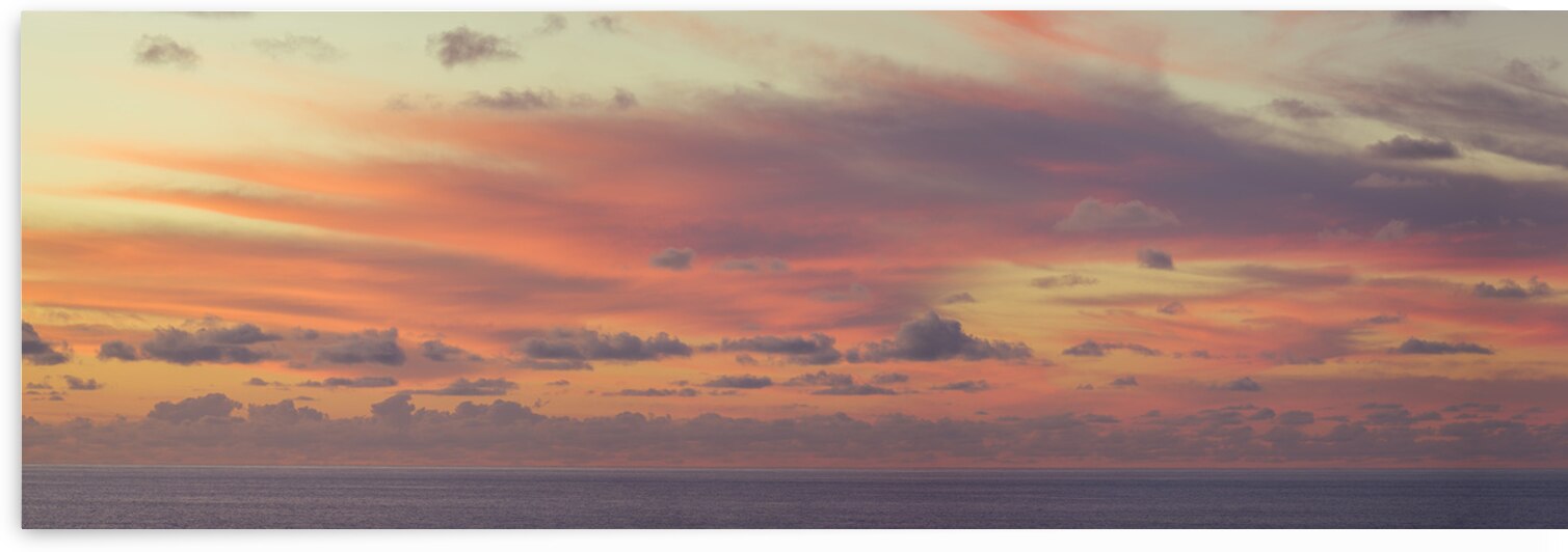 Golden Hour Magic by Assaf Frank