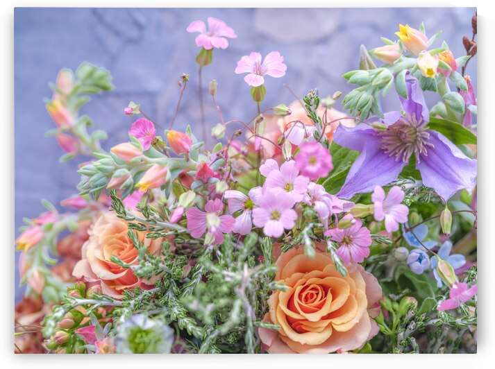 Garden Medley by Assaf Frank