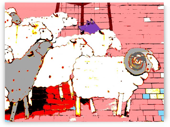 Cattle Dog and Sheep - Pink by Lexa Harpell