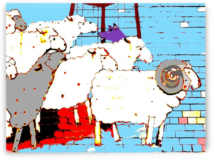 Cattle Dog and Sheep - Blue by Lexa Harpell