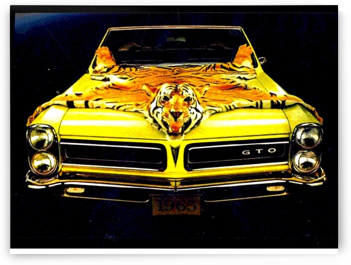 Little GTO by Rikki Rocx Designs