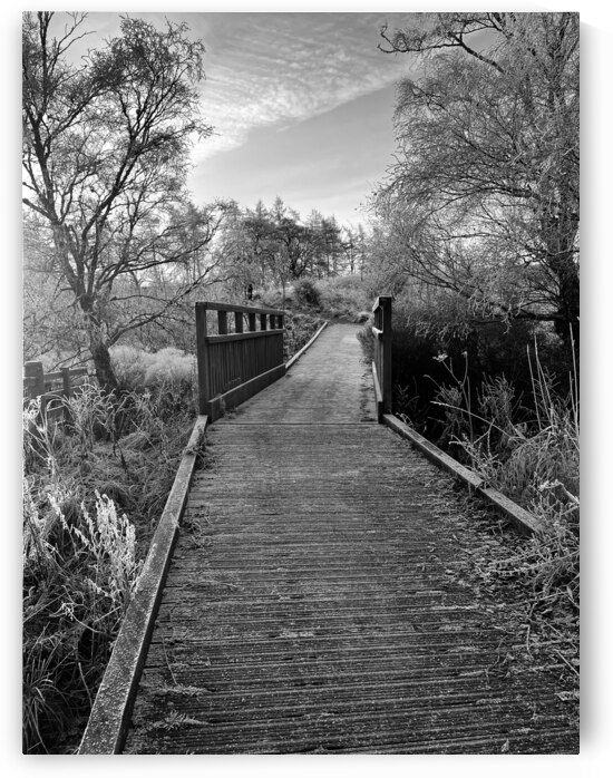 A Frosty Nature Walk Through The Scottish Highlands  by Catriona Roberts Nature Photography and Designs