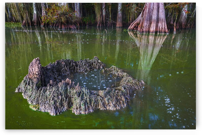 Swamp Cauldron by Andy Crawford