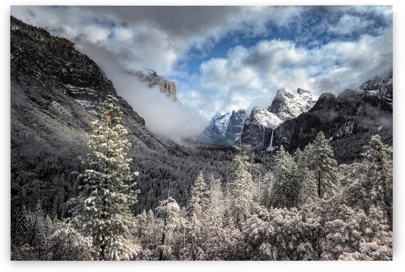Yosemite Up to the Clouds by Norma Brandsberg Photography