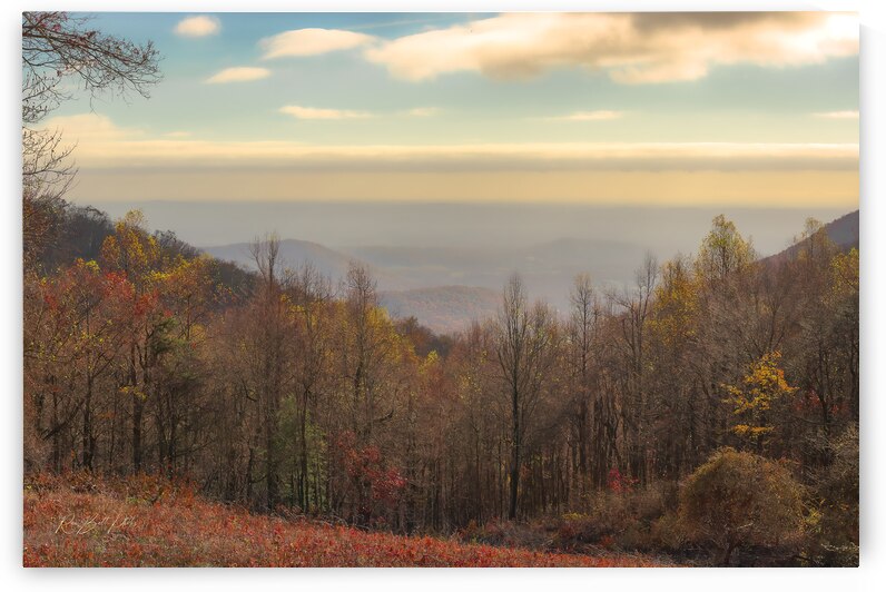 Skyline Drive 2024 by RawBeltPhotos