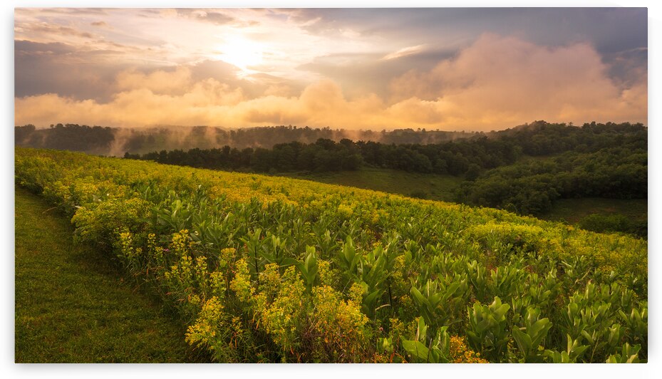 Lehigh Valley Late Afternoon Storms by Jason Fink