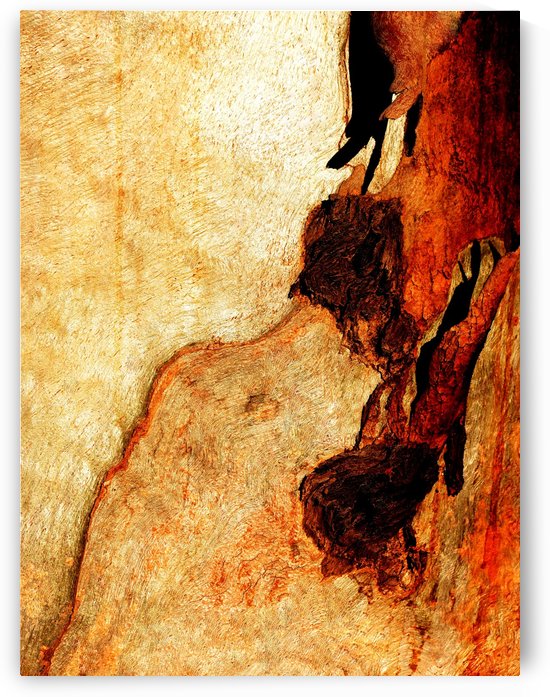 Murray Gum Tree Bark 3 by Lexa Harpell