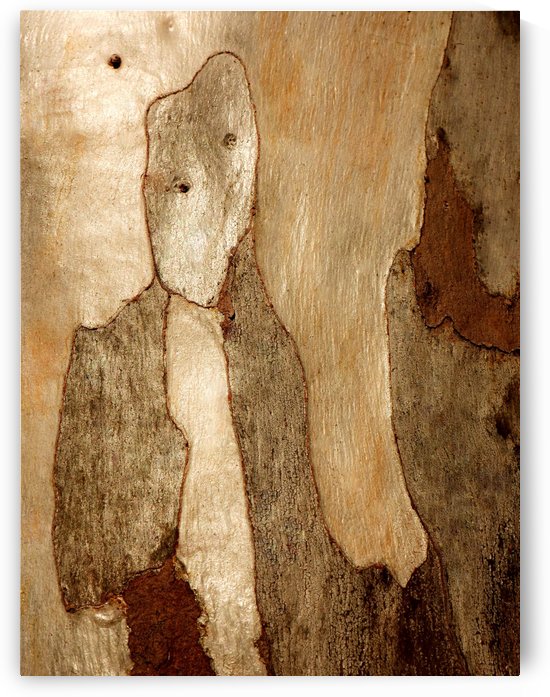 Murray Gum Tree Bark 6 by Lexa Harpell