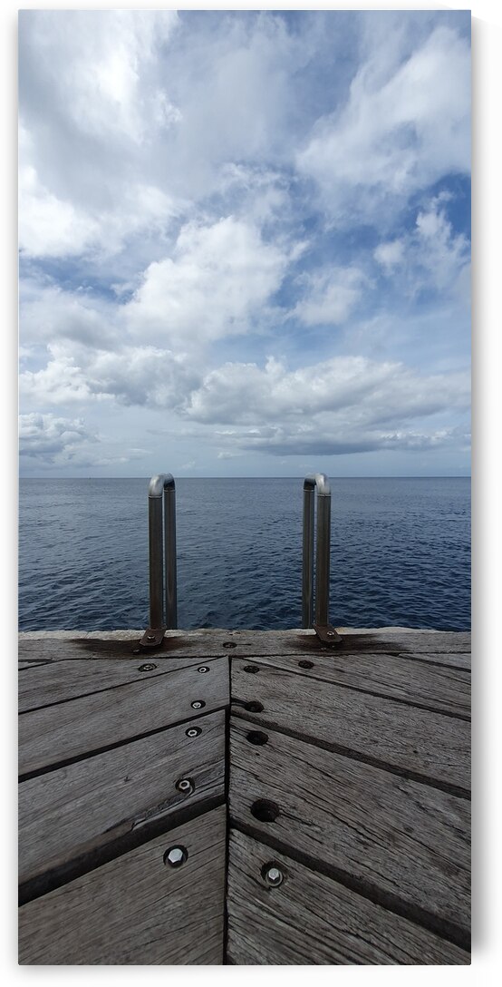 the ladder to the sea by Carinou Art