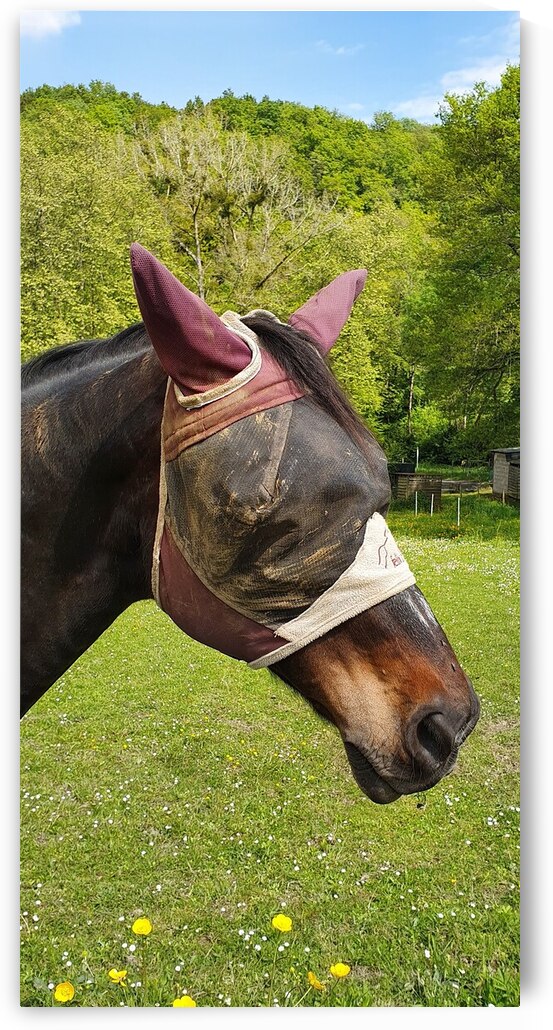 Lets play hide and seek by Carinou Art