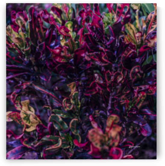 ARTISTIC EXPRESSION 24 by Eric Dycus