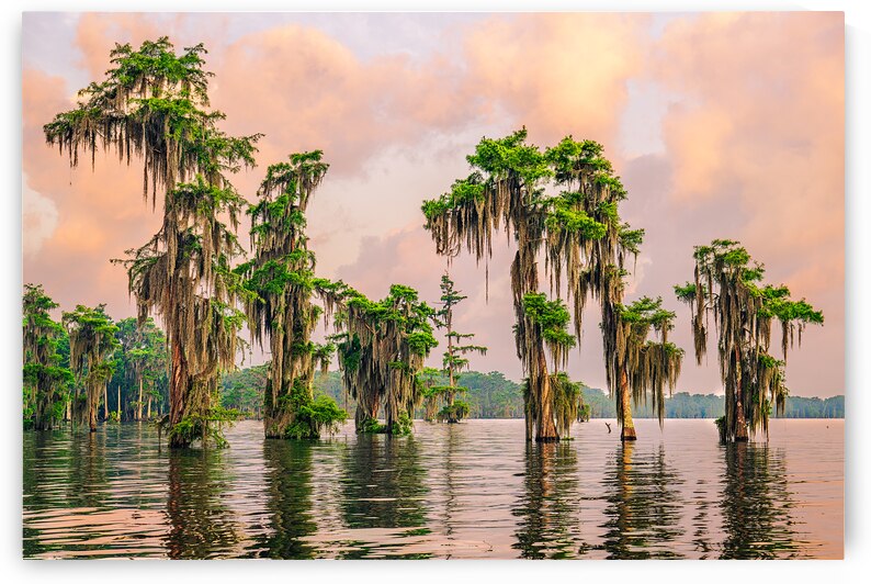 Bon Matin de là Cyprière by Andy Crawford
