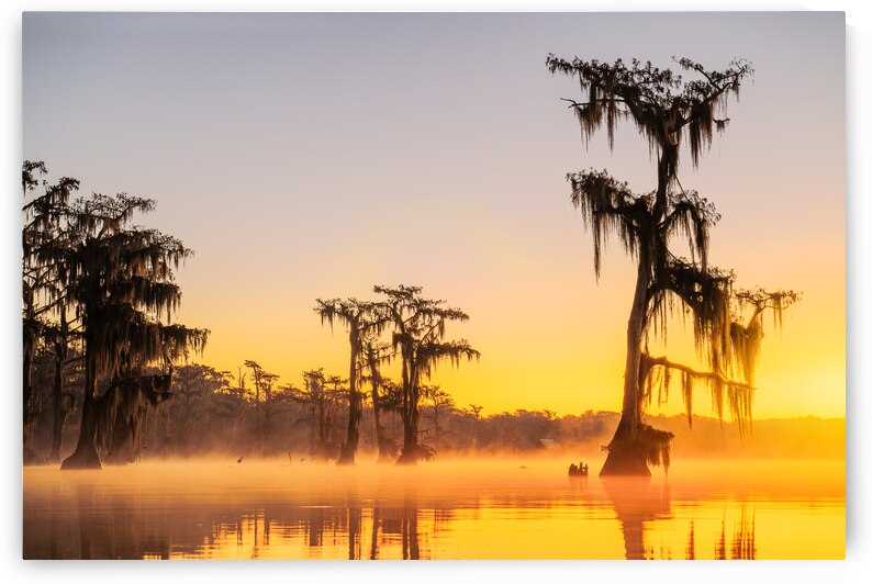 Attakapas Fog by Andy Crawford