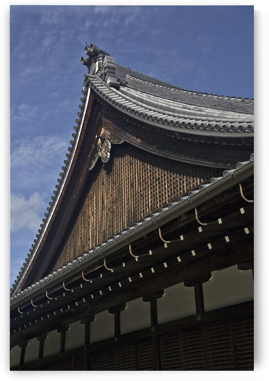 Invasion by DeepEarth Photography