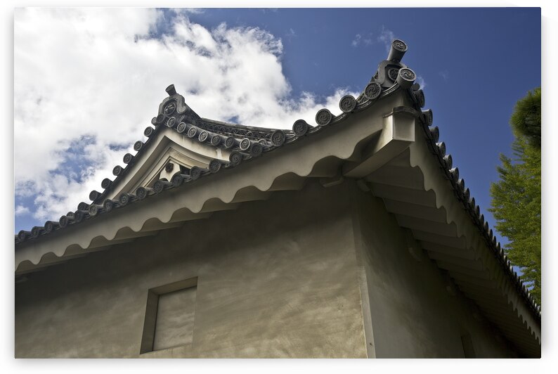 Forage by DeepEarth Photography