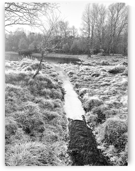 Winters Landscape in the Scottish Highlands in High Key Black and White by Catriona Roberts Nature Photography and Designs