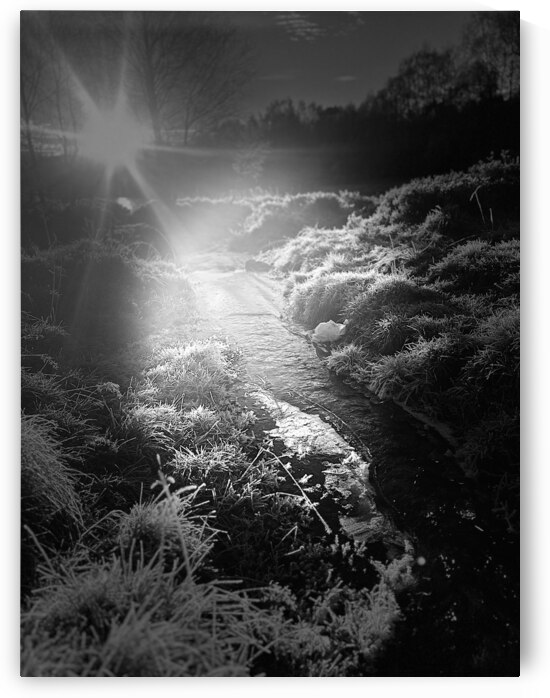 Winters Frosty Light and Shadow in the Scottish Highlands by Catriona Roberts Nature Photography and Designs