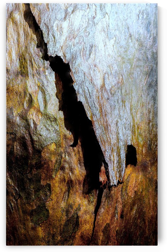 Aussie Gum Tree Bark - 8 by Lexa Harpell