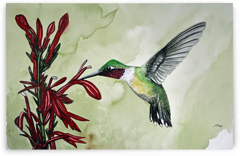 Ruby throated hummingbird 125 Painting by Stephen Emms