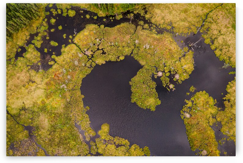 Arrondissement naturel - Natural neighbourhood by Lunkenbein Photography