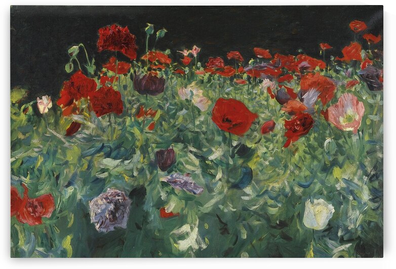 John Singer Sargent - Poppies by Wirla
