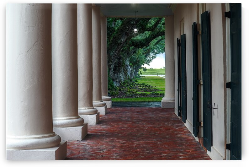 Window to the Alley by Andy Crawford