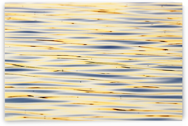 Bright Gold Water Abstract by Deb Oppermann
