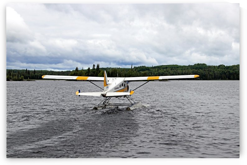 Beaver Bush Plane by Deb Oppermann