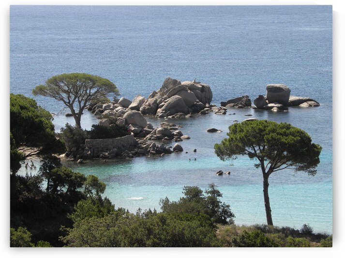 dream view by Carinou Art