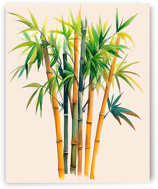 Bamboo by Travelling Light