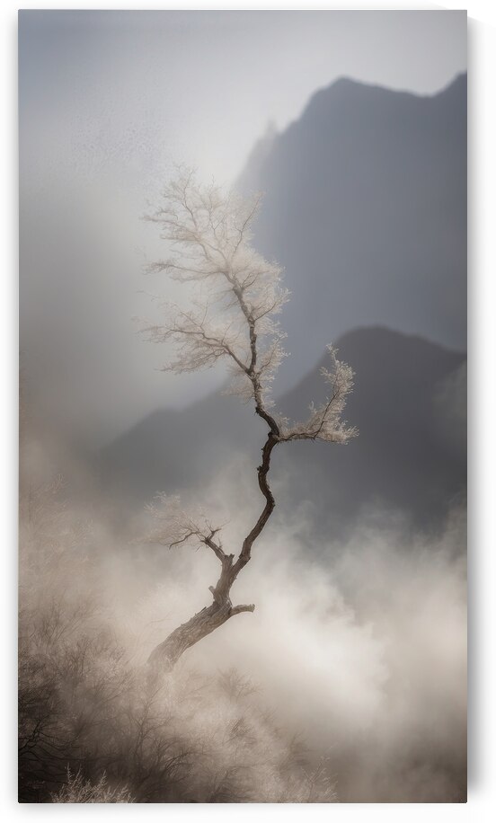  Dream of Matisse A Nature Series  8 by The Mabazza Foundation 