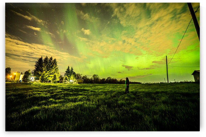 Celestial Fields: Embrace the Infinite by Mila Araujo